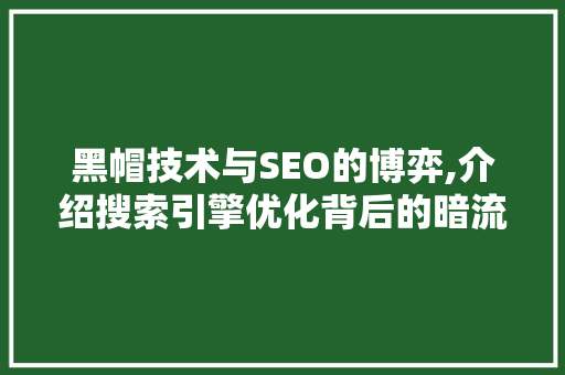 黑帽技术与SEO的博弈,介绍搜索引擎优化背后的暗流涌动