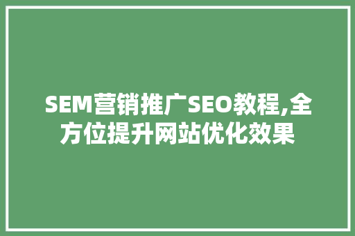 SEM营销推广SEO教程,全方位提升网站优化效果