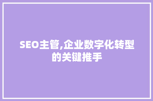 SEO主管,企业数字化转型的关键推手