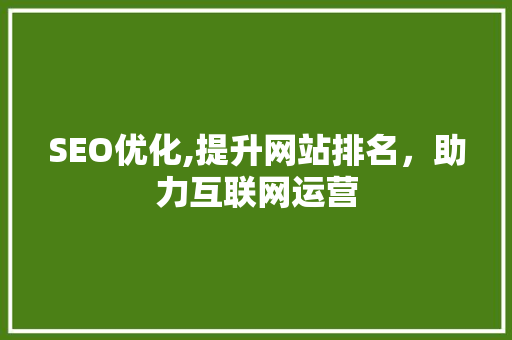 SEO优化,提升网站排名，助力互联网运营