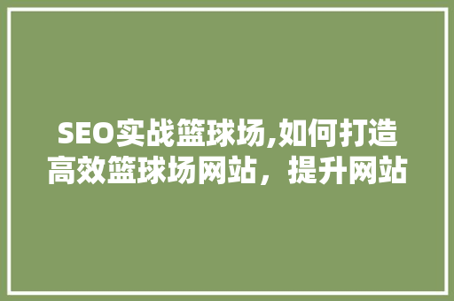 SEO实战篮球场,如何打造高效篮球场网站，提升网站排名与用户粘性