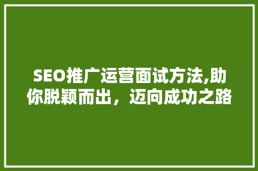 SEO推广运营面试方法,助你脱颖而出，迈向成功之路