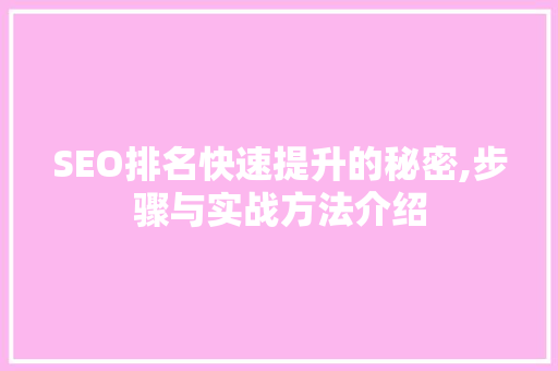 SEO排名快速提升的秘密,步骤与实战方法介绍