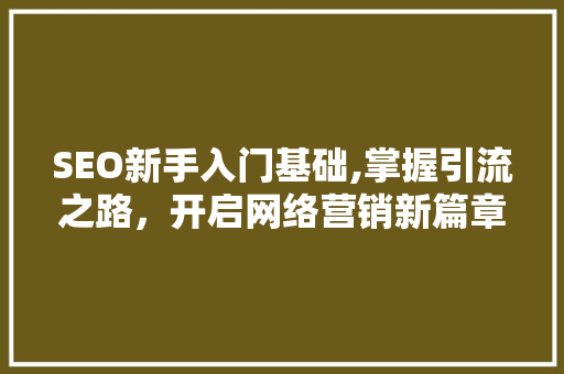 SEO新手入门基础,掌握引流之路，开启网络营销新篇章