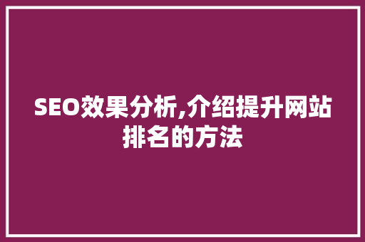 SEO效果分析,介绍提升网站排名的方法