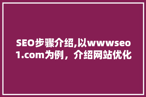 SEO步骤介绍,以wwwseo1.com为例，介绍网站优化之路