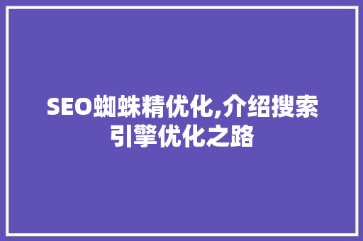 SEO蜘蛛精优化,介绍搜索引擎优化之路