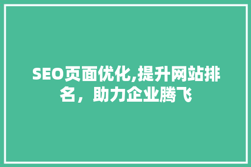 SEO页面优化,提升网站排名，助力企业腾飞
