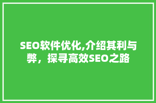 SEO软件优化,介绍其利与弊，探寻高效SEO之路