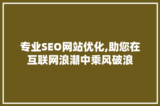 专业SEO网站优化,助您在互联网浪潮中乘风破浪