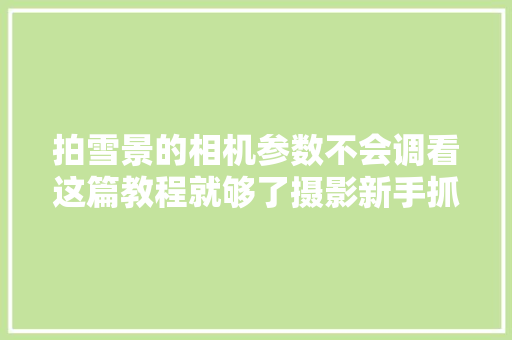 拍雪景的相机参数不会调看这篇教程就够了摄影新手抓紧看