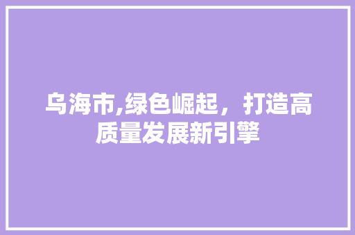 乌海市,绿色崛起，打造高质量发展新引擎