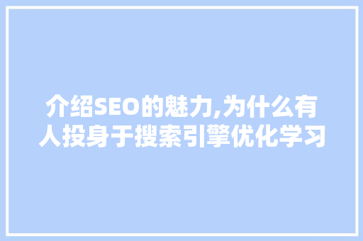 介绍SEO的魅力,为什么有人投身于搜索引擎优化学习