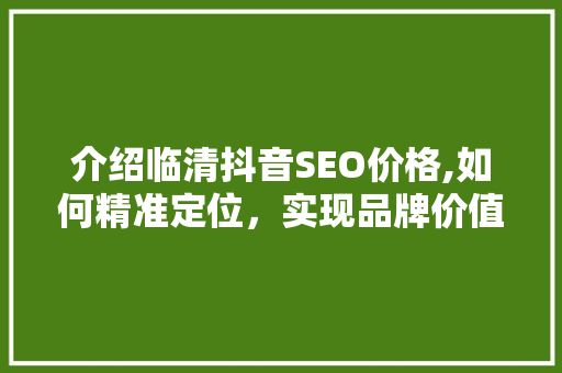 介绍临清抖音SEO价格,如何精准定位，实现品牌价值最大化