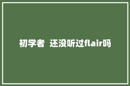 初学者  还没听过flair吗