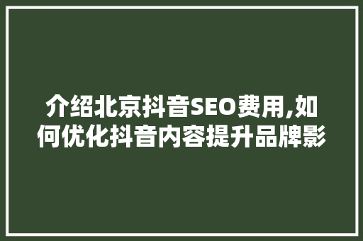 介绍北京抖音SEO费用,如何优化抖音内容提升品牌影响力