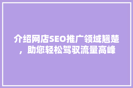 介绍网店SEO推广领域翘楚，助您轻松驾驭流量高峰