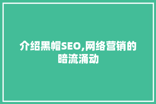介绍黑帽SEO,网络营销的暗流涌动