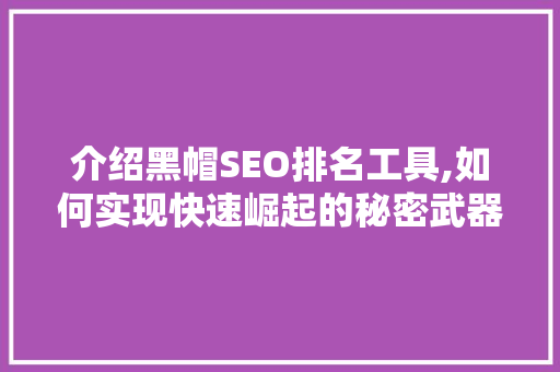 介绍黑帽SEO排名工具,如何实现快速崛起的秘密武器
