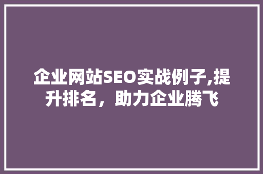 企业网站SEO实战例子,提升排名，助力企业腾飞