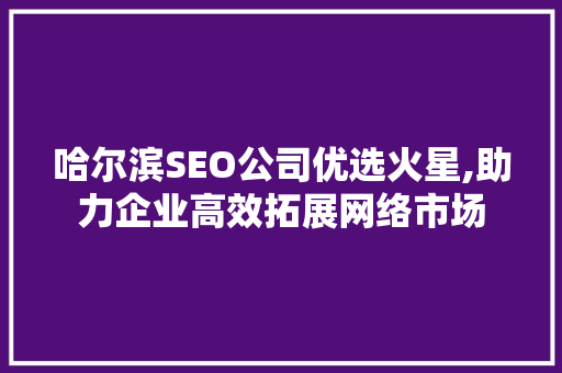 哈尔滨SEO公司优选火星,助力企业高效拓展网络市场