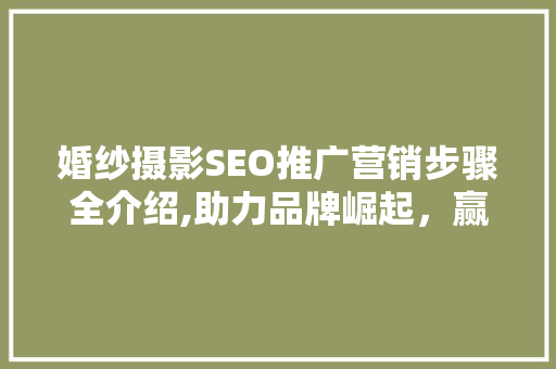 婚纱摄影SEO推广营销步骤全介绍,助力品牌崛起，赢取市场先机