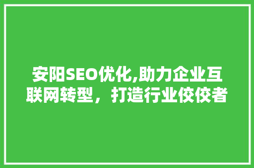 安阳SEO优化,助力企业互联网转型，打造行业佼佼者