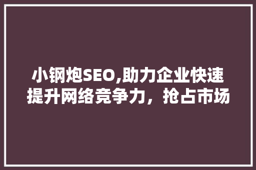 小钢炮SEO,助力企业快速提升网络竞争力，抢占市场份额