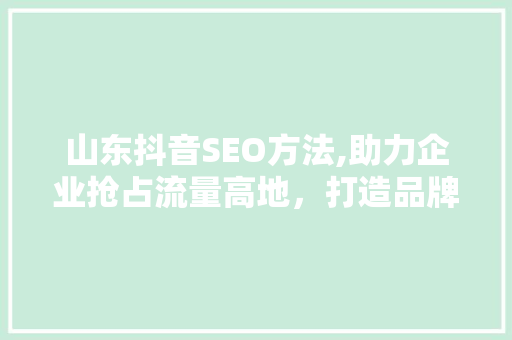山东抖音SEO方法,助力企业抢占流量高地，打造品牌新生态