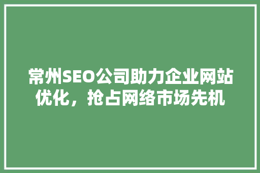 常州SEO公司助力企业网站优化，抢占网络市场先机