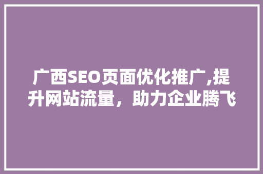 广西SEO页面优化推广,提升网站流量，助力企业腾飞