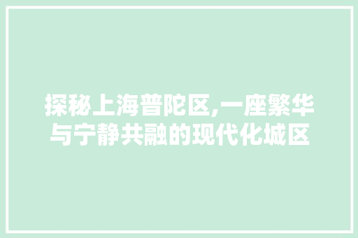 探秘上海普陀区,一座繁华与宁静共融的现代化城区