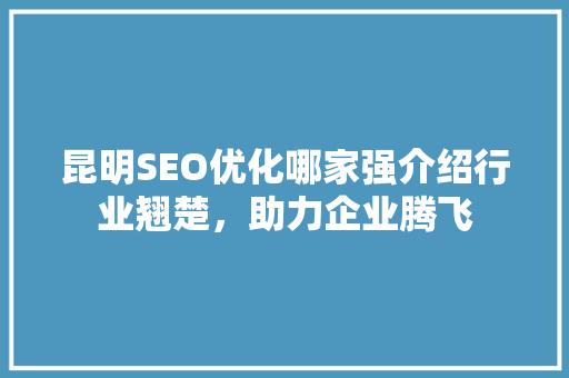 昆明SEO优化哪家强介绍行业翘楚，助力企业腾飞