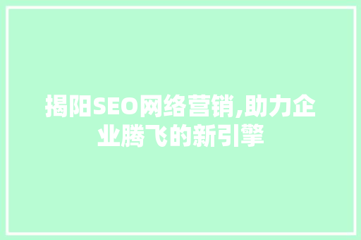 揭阳SEO网络营销,助力企业腾飞的新引擎