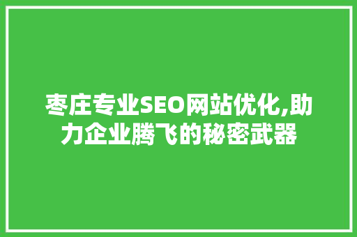 枣庄专业SEO网站优化,助力企业腾飞的秘密武器