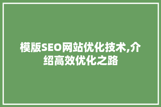 模版SEO网站优化技术,介绍高效优化之路