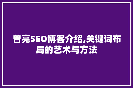 曾亮SEO博客介绍,关键词布局的艺术与方法