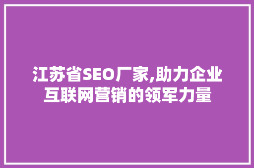 江苏省SEO厂家,助力企业互联网营销的领军力量