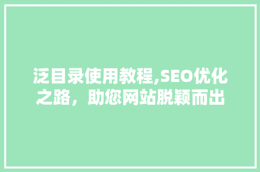 泛目录使用教程,SEO优化之路，助您网站脱颖而出