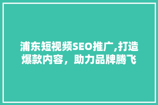 浦东短视频SEO推广,打造爆款内容，助力品牌腾飞