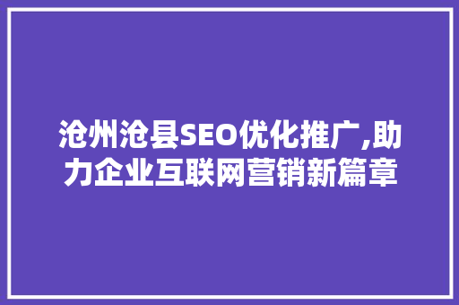 沧州沧县SEO优化推广,助力企业互联网营销新篇章