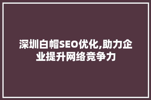 深圳白帽SEO优化,助力企业提升网络竞争力