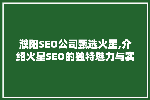 濮阳SEO公司甄选火星,介绍火星SEO的独特魅力与实战步骤