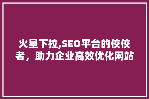 火星下拉,SEO平台的佼佼者，助力企业高效优化网站