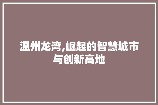温州龙湾,崛起的智慧城市与创新高地