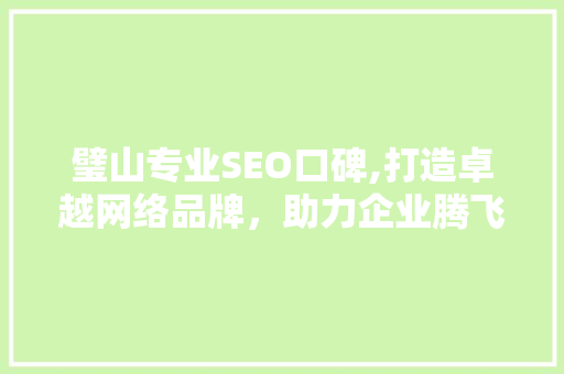 璧山专业SEO口碑,打造卓越网络品牌，助力企业腾飞