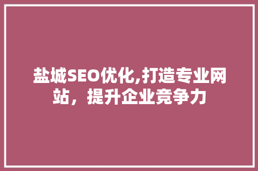 盐城SEO优化,打造专业网站，提升企业竞争力