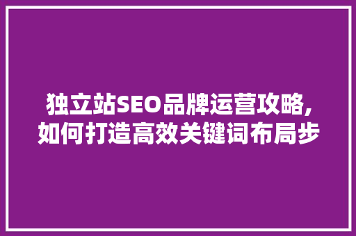 独立站SEO品牌运营攻略,如何打造高效关键词布局步骤