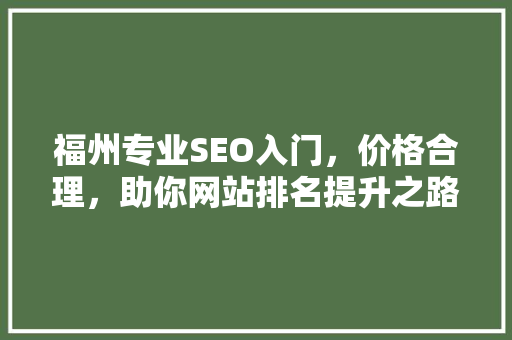 福州专业SEO入门，价格合理，助你网站排名提升之路