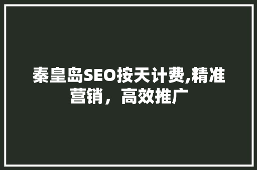 秦皇岛SEO按天计费,精准营销，高效推广